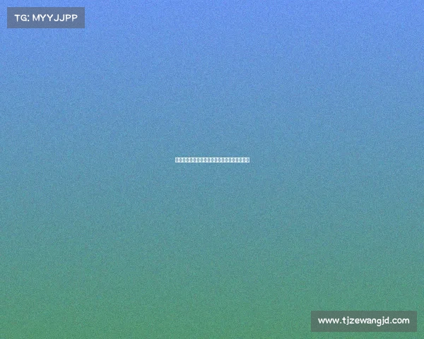 布伦瑞克队重回德甲巅峰之路：挑战与机遇并存