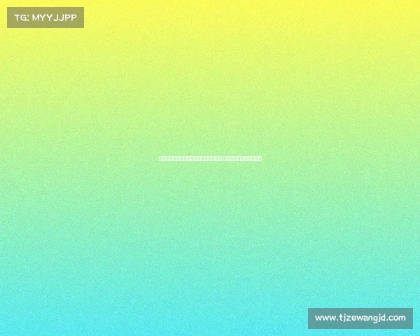 法甲官方账号发布全新赛季球员数据解析 揭示比赛背后的精彩瞬间