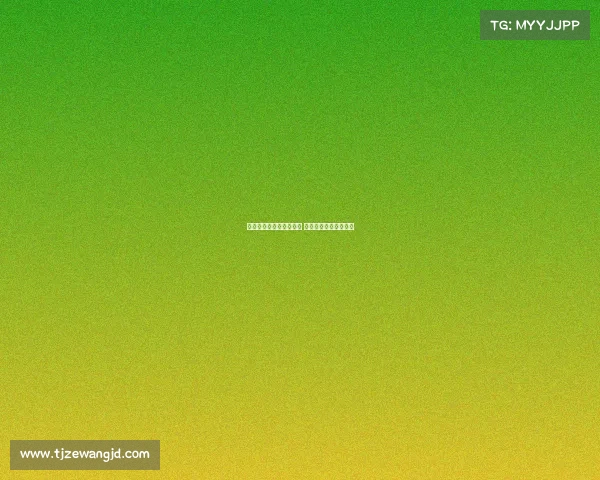 库巴西强调球队竞争激烈 特狮担当队长核心角色