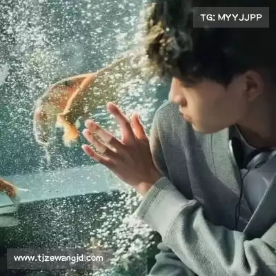 毕舜澄